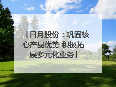 日月股份：巩固核心产品优势 积极拓展多元化业务